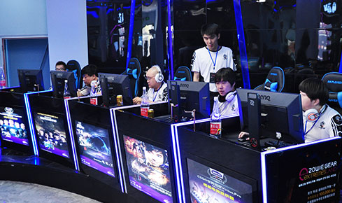 身宠的处理 身宠的处理